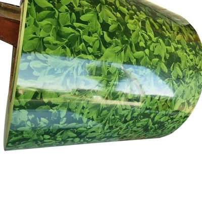 Comme votre demande longueur prépeinte couleur revêtue en acier galvanisé bobine Gi feuille d'acier avec certificat ISO9001